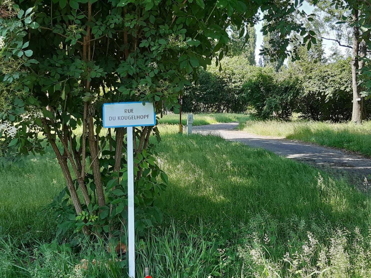 Camping De L'Ill Mülhausen Exterior foto
